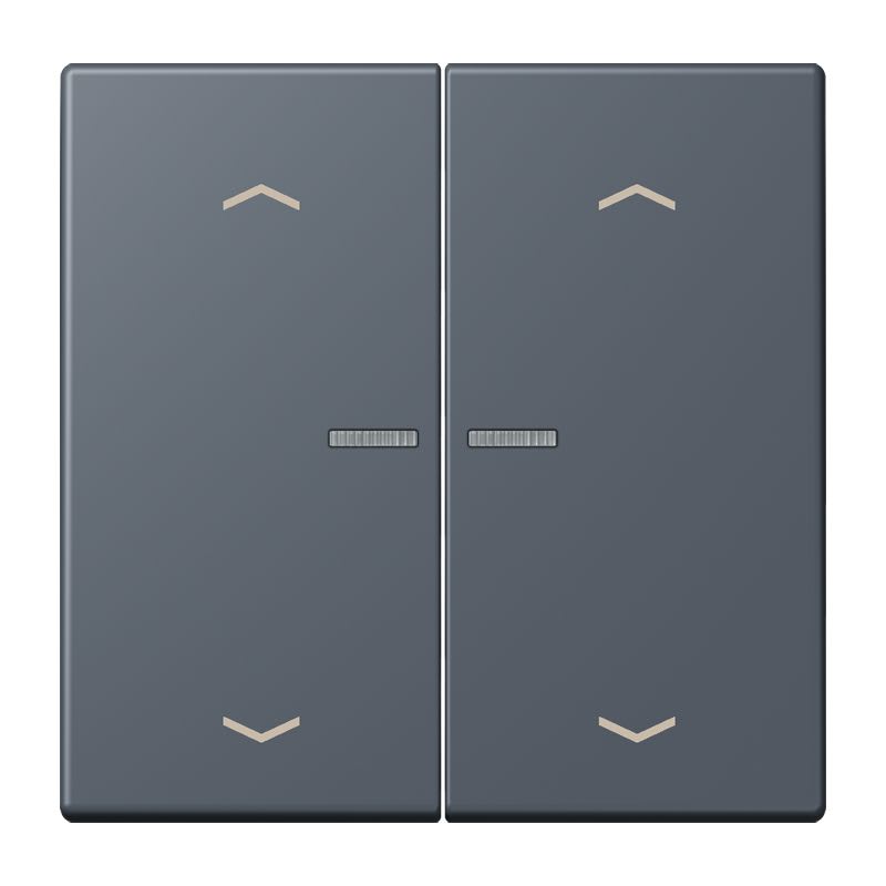 Jung - Enjo 2 touches + flèches et voyant méc BP-BCU LSCD10xxxST / LS 990 LC 4320U