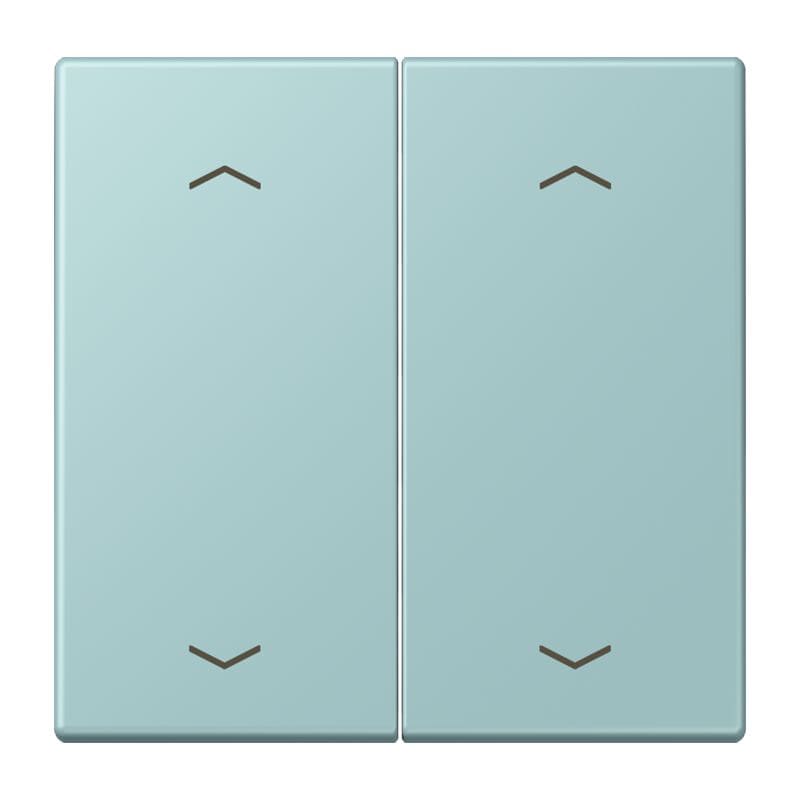 Jung - Enjo double touche flèches pour mécanisme BP-BCU LSCD10xxxST / LS 990 LC 32033