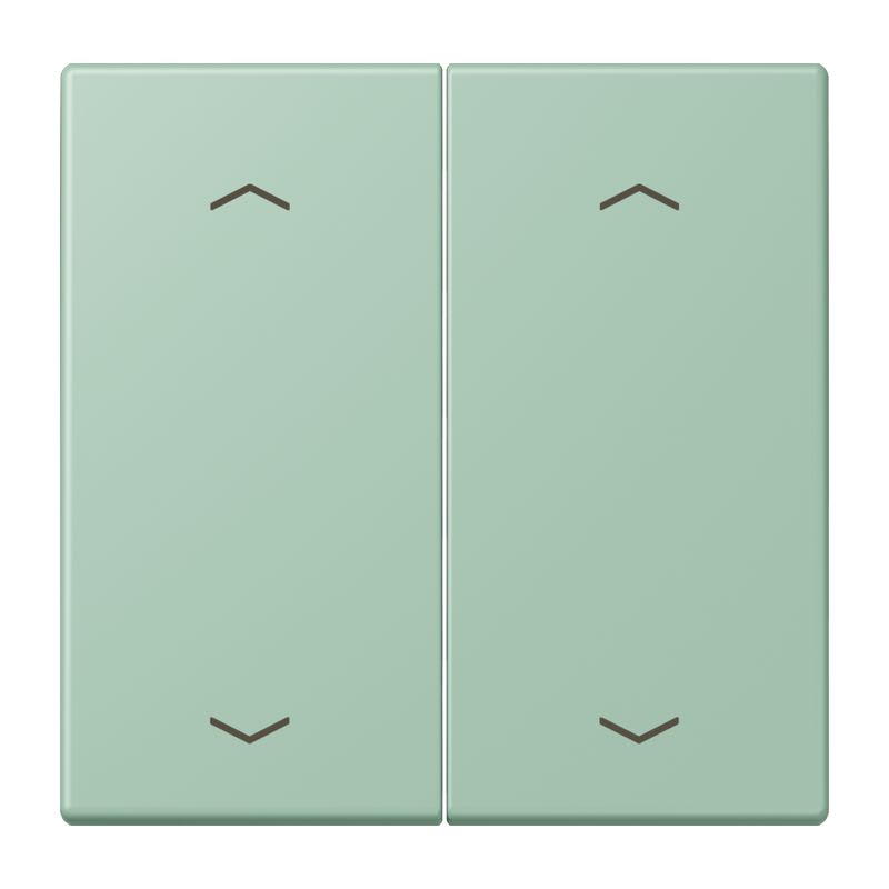 Jung - Enjo double touche flèches pour mécanisme BP-BCU LSCD10xxxST / LS 990 LC 32041