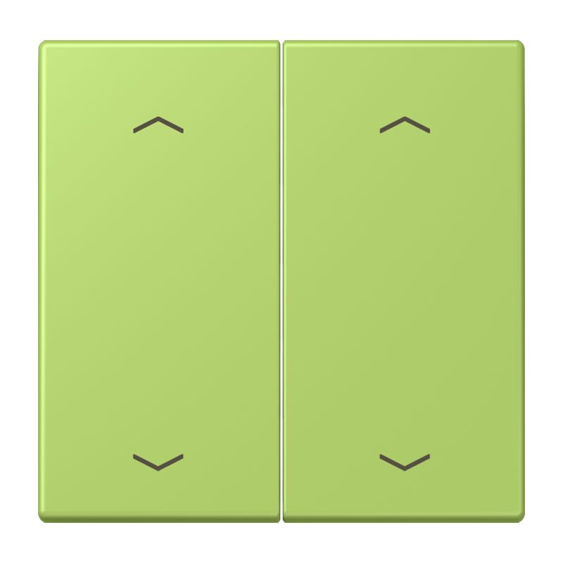 Jung - Enjo double touche flèches pour mécanisme BP-BCU LSCD10xxxST / LS 990 LC 32052