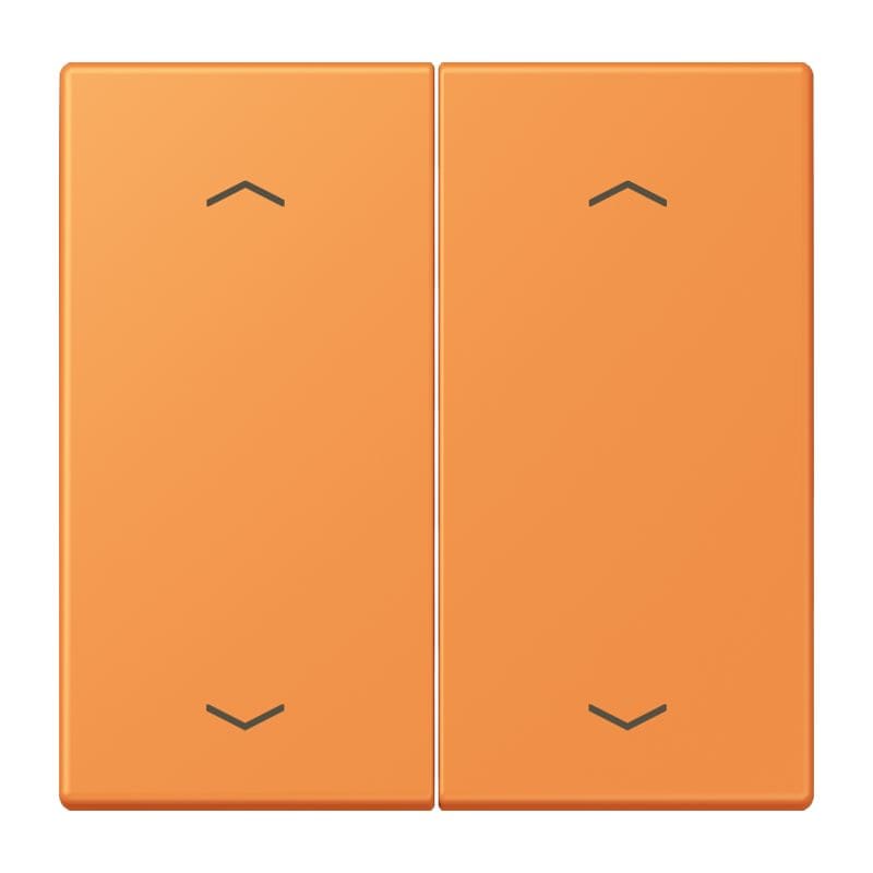 Jung - Enjo double touche flèches pour mécanisme BP-BCU LSCD10xxxST / LS 990 LC 32081