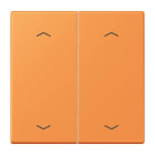 Jung - Enjo double touche flèches pour mécanisme BP-BCU LSCD10xxxST / LS 990 LC 32081