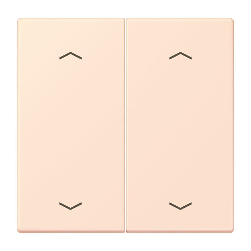 Jung - Enjo double touche flèches pour mécanisme BP-BCU LSCD10xxxST / LS 990 LC 32082