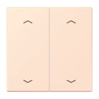 Jung - Enjo double touche flèches pour mécanisme BP-BCU LSCD10xxxST / LS 990 LC 32082