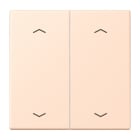 Jung - Enjo double touche flèches pour mécanisme BP-BCU LSCD10xxxST / LS 990 LC 32091