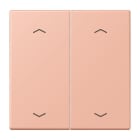 Jung - Enjo double touche flèches pour mécanisme BP-BCU LSCD10xxxST / LS 990 LC 32102