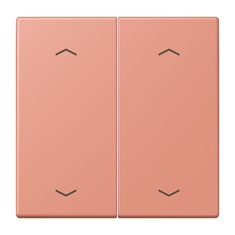 Jung - Enjo double touche flèches pour mécanisme BP-BCU LSCD10xxxST / LS 990 LC 32111