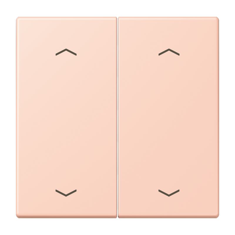 Jung - Enjo double touche flèches pour mécanisme BP-BCU LSCD10xxxST / LS 990 LC 32114