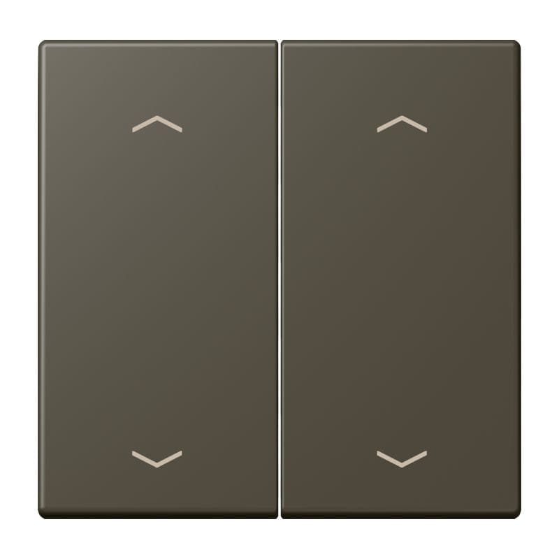 Jung - Enjo double touche flèches pour mécanisme BP-BCU LSCD10xxxST / LS 990 LC 32140