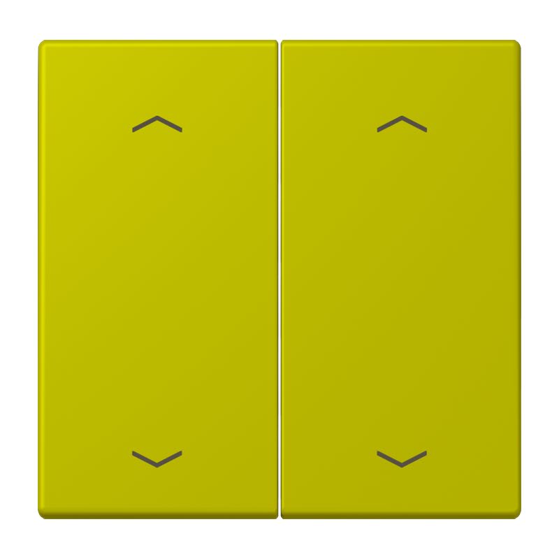 Jung - Enjo double touche flèches pour mécanisme BP-BCU LSCD10xxxST / LS 990 LC 4320F