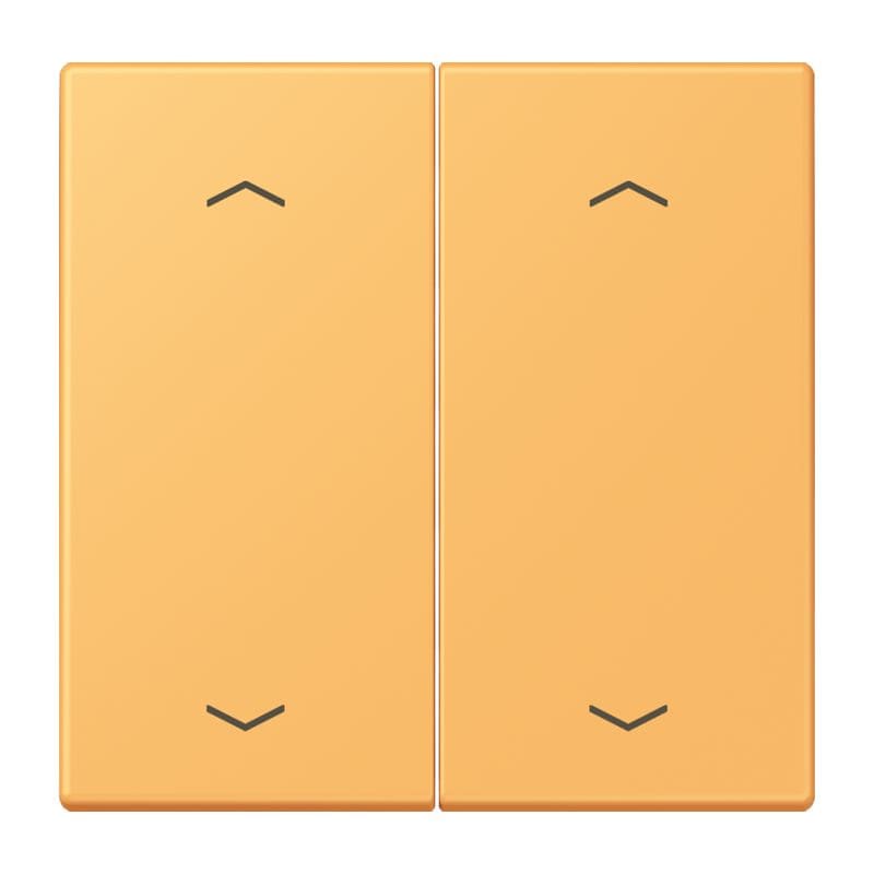 Jung - Enjo double touche flèches pour mécanisme BP-BCU LSCD10xxxST / LS 990 LC 4320L