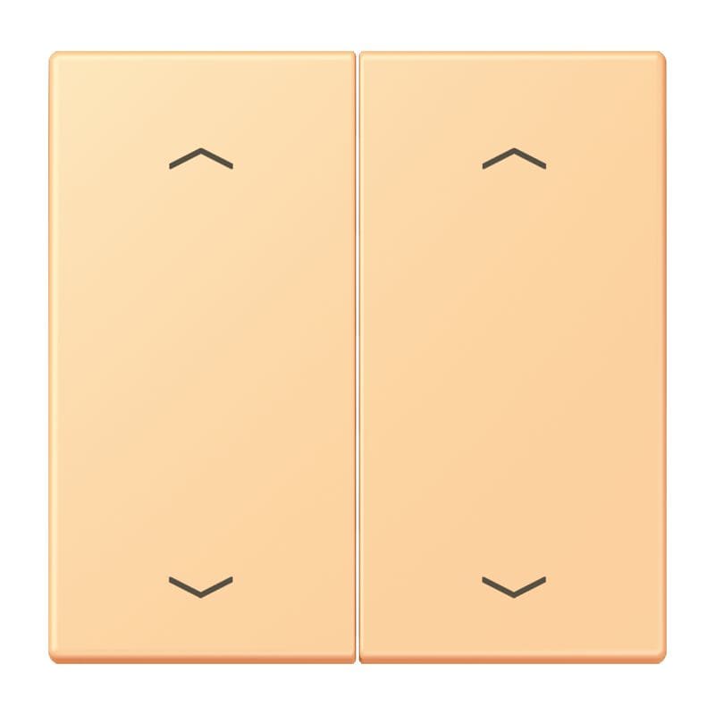 Jung - Enjo double touche flèches pour mécanisme BP-BCU LSCD10xxxST / LS 990 LC 4320P