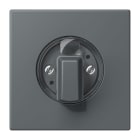 Jung - Enjo pour interrupteur rotatif / LS 990 LC 32010