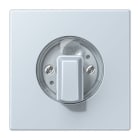 Jung - Enjo pour interrupteur rotatif / LS 990 LC 32023