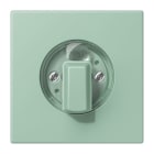 Jung - Enjo pour interrupteur rotatif / LS 990 LC 32041