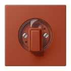 Jung - Enjo pour interrupteur rotatif / LS 990 LC 32110