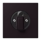 Jung - Enjo pour interrupteur rotatif / LS 990 LC 4320E
