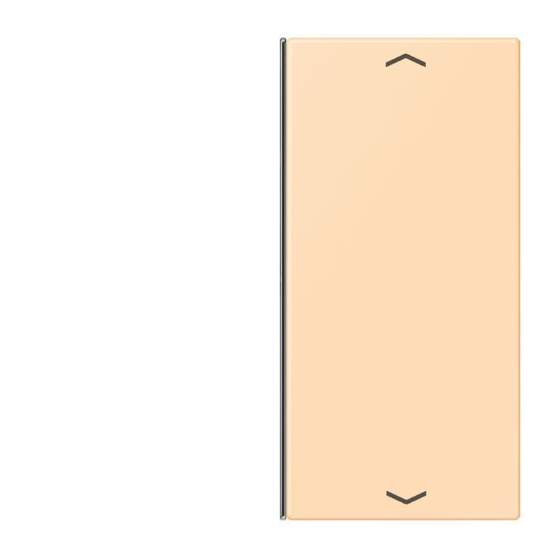 Jung - Touche 2 voies avec flèches platine F40 / LS 990 LC 32060