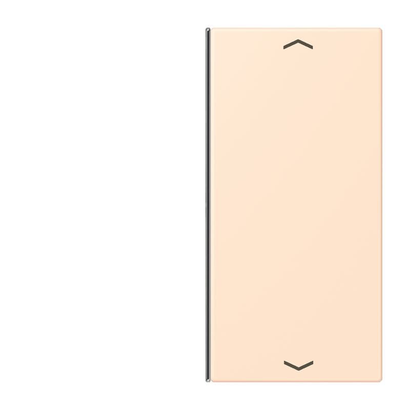 Jung - Touche 2 voies avec flèches platine F40 / LS 990 LC 32123