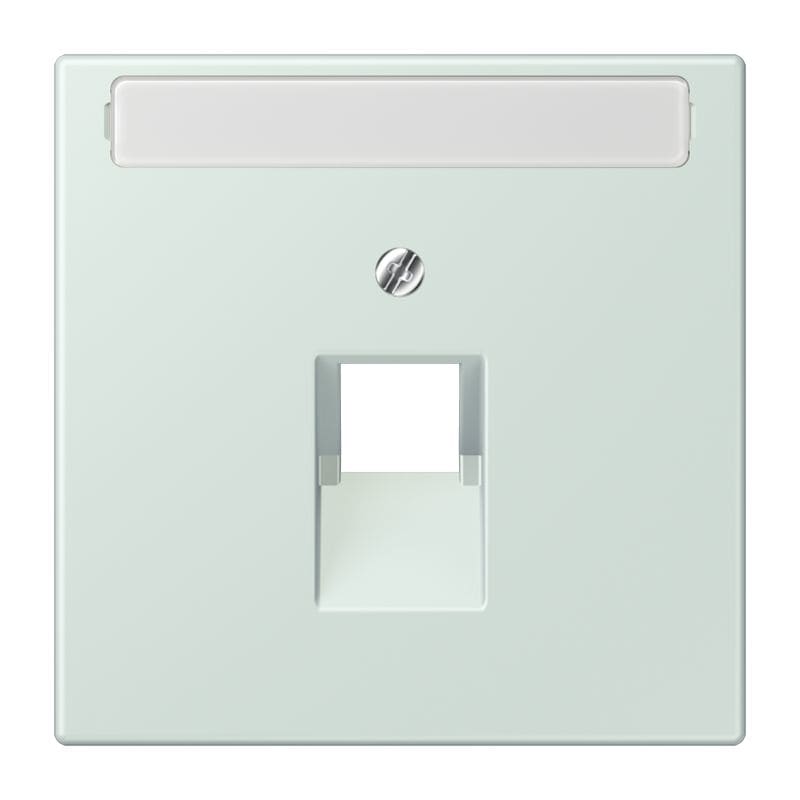 Jung - Enjoliveur pour prise IAE/UAE avec PE / LS 990 LC 32034