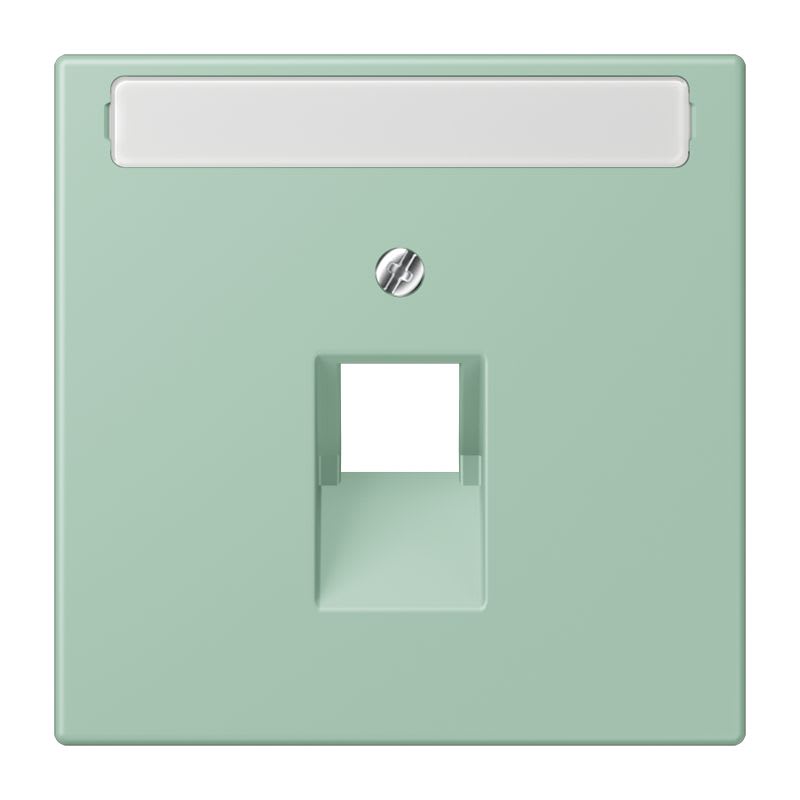 Jung - Enjoliveur pour prise IAE/UAE avec PE / LS 990 LC 32041