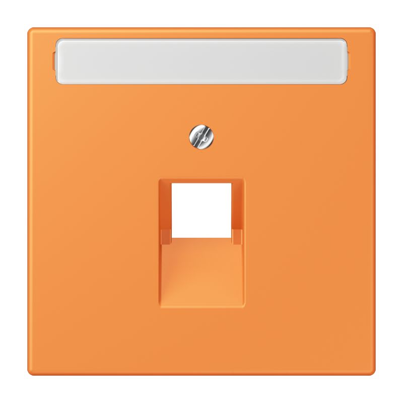 Jung - Enjoliveur pour prise IAE/UAE avec PE / LS 990 LC 32081