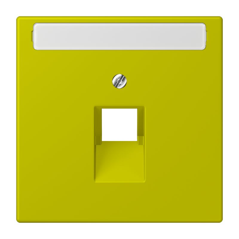 Jung - Enjoliveur pour prise IAE/UAE avec PE / LS 990 LC 4320F