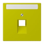 Jung - Enjoliveur pour prise IAE/UAE avec PE / LS 990 LC 4320F