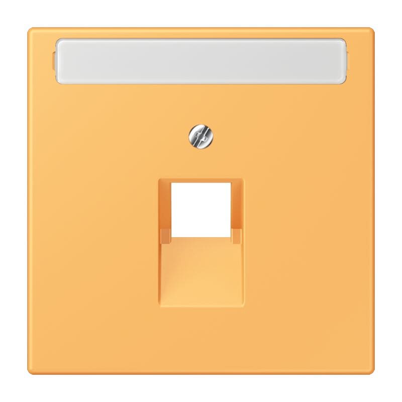 Jung - Enjoliveur pour prise IAE/UAE avec PE / LS 990 LC 4320L