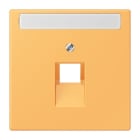 Jung - Enjoliveur pour prise IAE/UAE avec PE / LS 990 LC 4320L