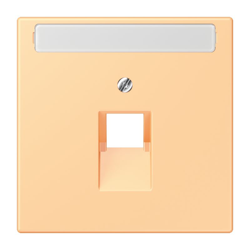 Jung - Enjoliveur pour prise IAE/UAE avec PE / LS 990 LC 4320P