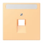 Jung - Enjoliveur pour prise IAE/UAE avec PE / LS 990 LC 4320P