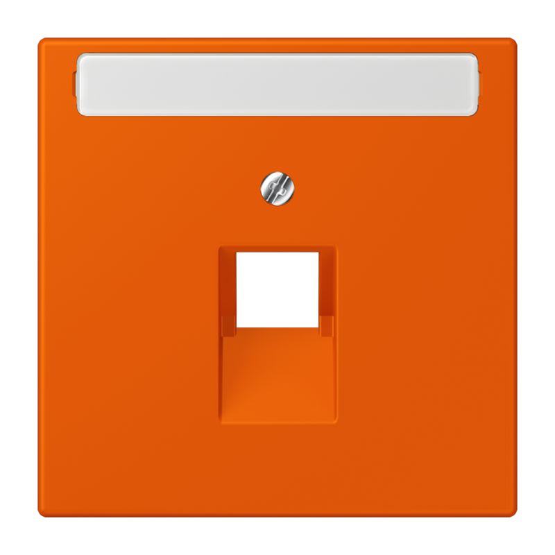 Jung - Enjoliveur pour prise IAE/UAE avec PE / LS 990 LC 4320S