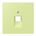 Jung - Enjoliveur pour prise IAE/UAE  / LS 990 LC 32053