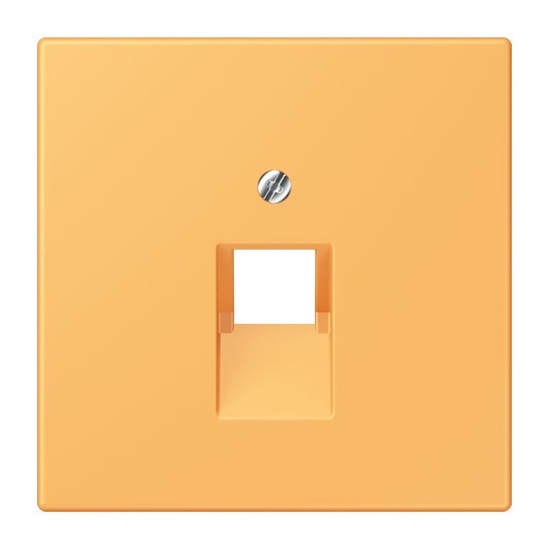 Jung - Enjoliveur pour prise IAE/UAE  / LS 990 LC 4320L