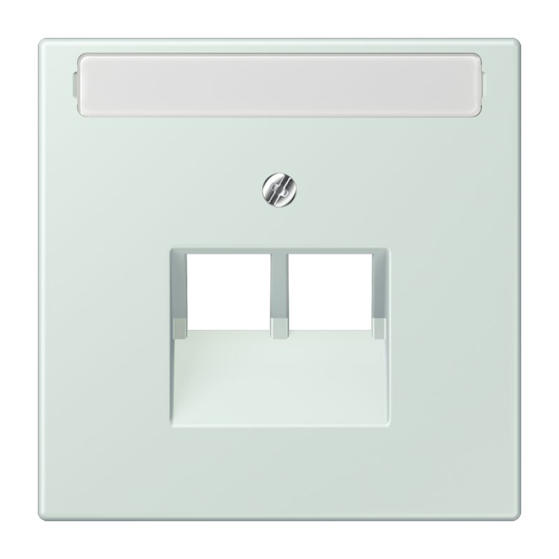 Jung - Enjoliveur pour prise IAE/UAE avec PE / LS 990 LC 32034