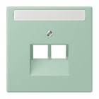 Jung - Enjoliveur pour prise IAE/UAE avec PE / LS 990 LC 32041