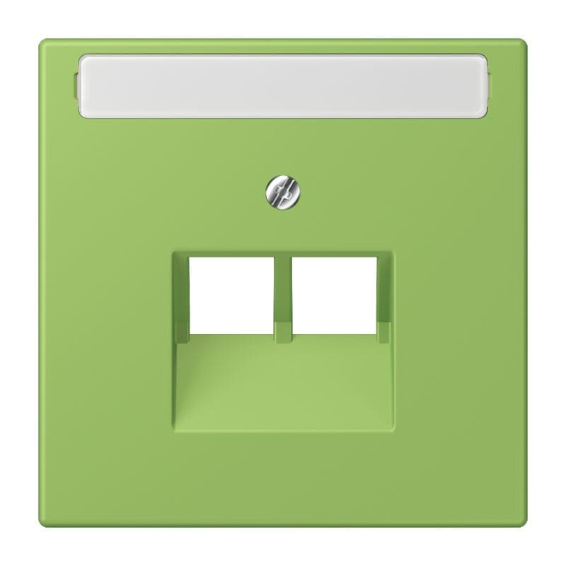 Jung - Enjoliveur pour prise IAE/UAE avec PE / LS 990 LC 32051