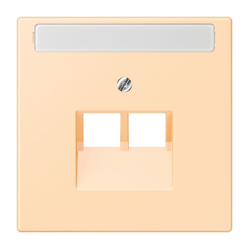 Jung - Enjoliveur pour prise IAE/UAE avec PE / LS 990 LC 32060