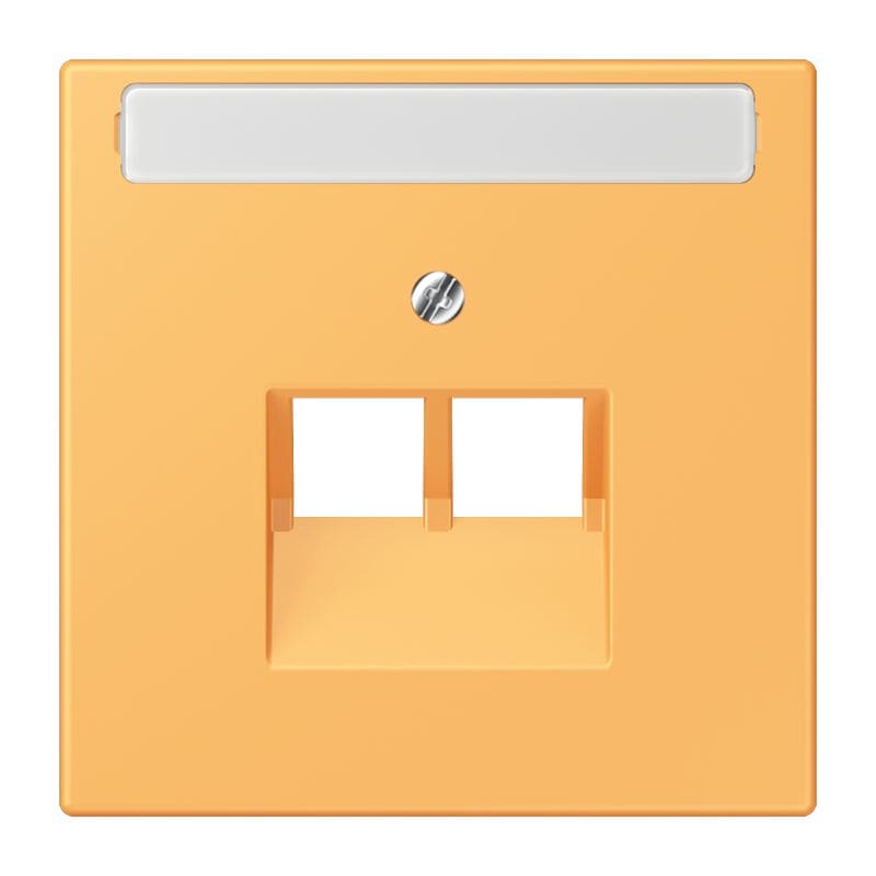 Jung - Enjoliveur pour prise IAE/UAE avec PE / LS 990 LC 4320L