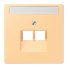 Jung - Enjoliveur pour prise IAE/UAE avec PE / LS 990 LC 4320P