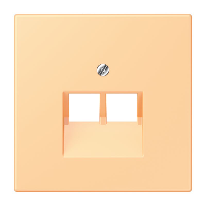 Jung - Enjoliveur pour prise IAE/UAE  / LS 990 LC 4320P