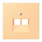 Jung - Enjoliveur pour prise IAE/UAE  / LS 990 LC 4320P