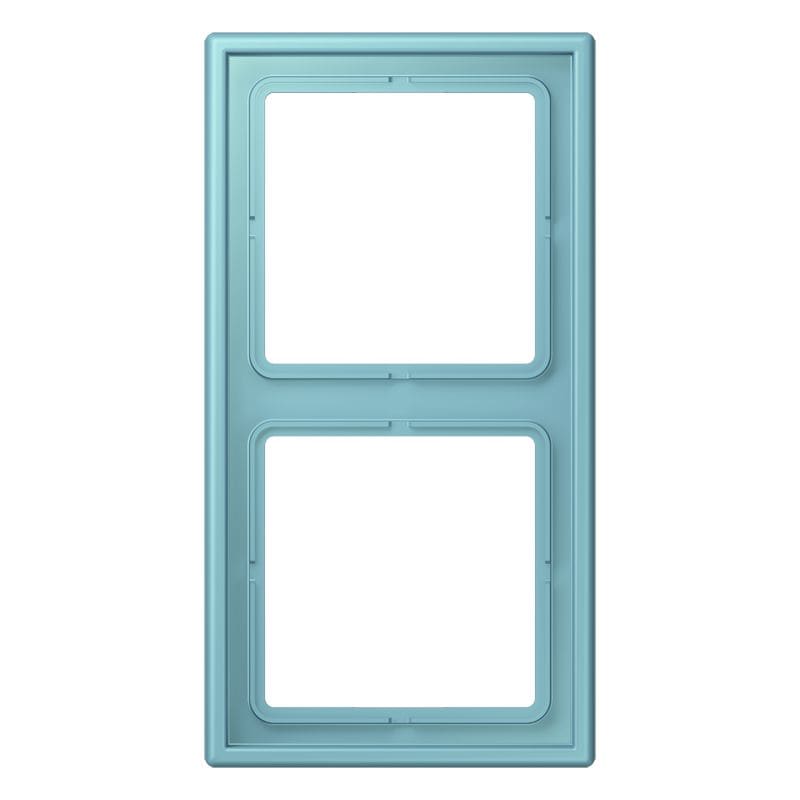 Jung - Cadre 2 postes  / LS 990 LC 32032