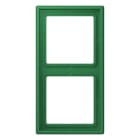 Jung - Cadre 2 postes  / LS 990 LC 32050