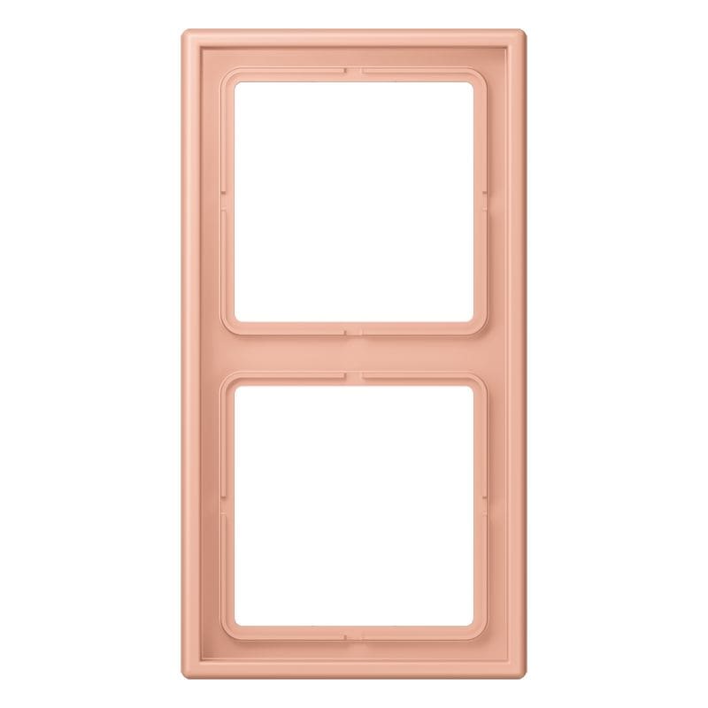 Jung - Cadre 2 postes  / LS 990 LC 32102