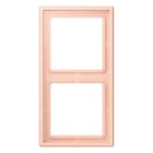 Jung - Cadre 2 postes  / LS 990 LC 32114