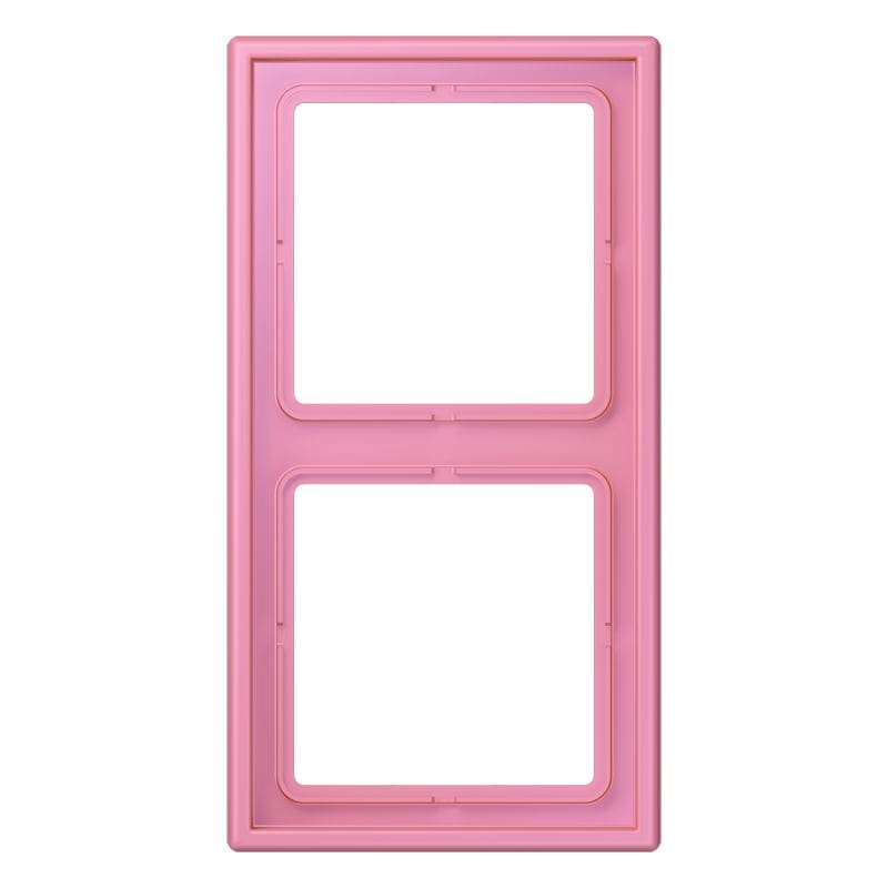 Jung - Cadre 2 postes  / LS 990 LC 4320C