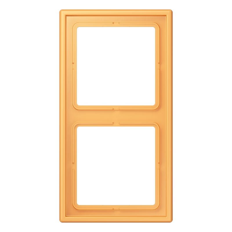 Jung - Cadre 2 postes  / LS 990 LC 4320L