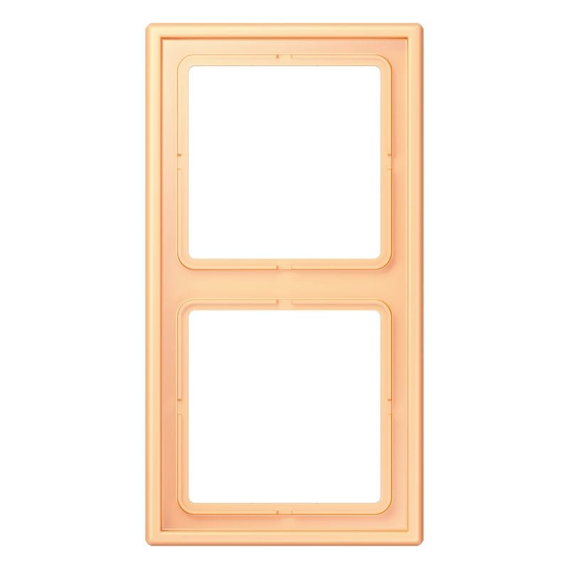 Jung - Cadre 2 postes  / LS 990 LC 4320P